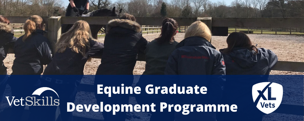 XLVets Equine Graduate Development Programme 2021/ 2022