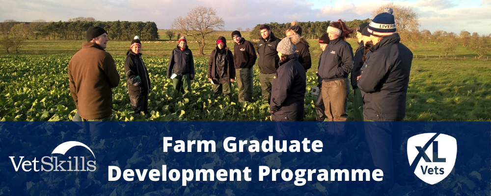 XLVets Farm Graduate Development Programme 2021/22