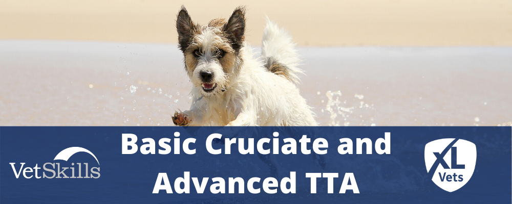 Basic Cruciate and Advanced TTA